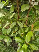 WhatsApp Image 2025-05-23 at 16.19.27(2).webp