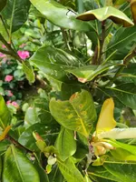 WhatsApp Image 2025-05-23 at 16.19.27(1).webp