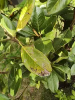 WhatsApp Image 2025-05-23 at 16.19.27.webp