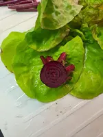 1000031174.webp