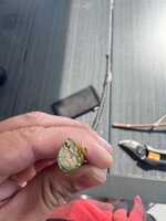 IMG_1735.jpeg