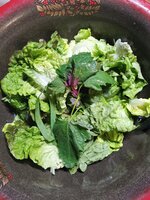 IMG_20250522_183338.jpg