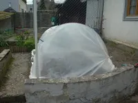 2010.04.13 027.webp