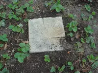2010.04.13 028.webp