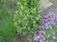 2010.04.13 031.webp