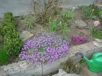 2010.04.13 032.webp