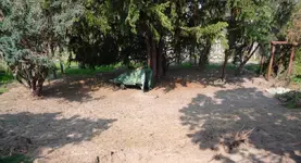Schatten_3.webp