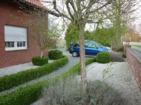 Garten 002.webp