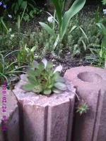 Palisaden2.webp