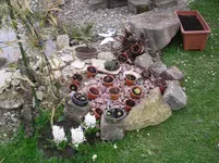 14.04.2010 021.webp