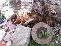 14.04.2010 023.webp