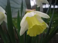 14.04.2010 027.webp