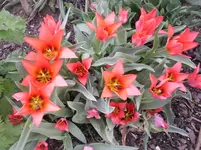14.04.2010 028.webp