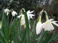14.04.2010 036.webp