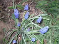 14.04.2010 039.webp