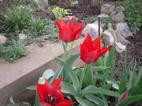 14.04.2010 041.webp