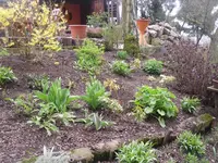 14.04.2010 046.webp