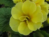 IMG_3544_1024x768.webp