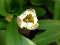 P1010501.webp