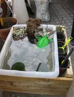 neuer Teich Wasser.webp