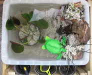 neuer Teich Wasser (2).webp