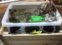 neuer Teich Wasser (3).webp