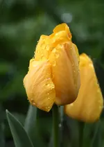 IMG_8800.webp