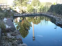 124115 058.webp