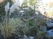 124115 059.webp