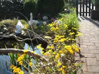 Garten 13.04.09 004.webp