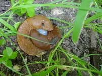 DSC02680.webp