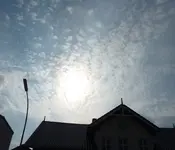 P1030319.webp