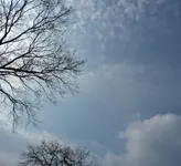 P1030318.webp