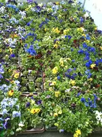 DSC01872.webp