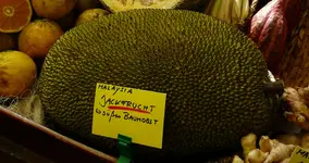 P1030316 (2).webp