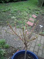 27.03.10.3.webp