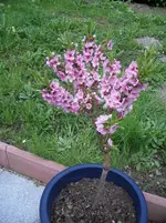 10.04.10.webp