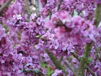 k-IMG_2740.webp