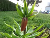 k-IMG_2742.webp