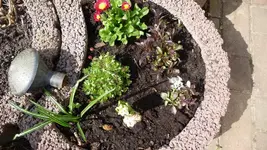 K800_Frühling 027.webp