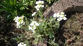 K800_Frühling 028.webp