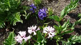 K800_Frühling 034.webp
