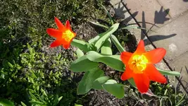 K800_Frühling 040.webp