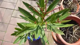 K800_Frühling 035.webp