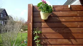 K800_Frühling 037.webp