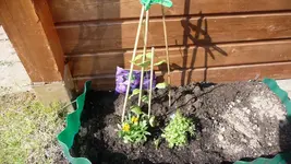 K800_Frühling 038.webp