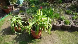 K800_Frühling 041.webp