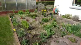 K800_Frühling 043.webp