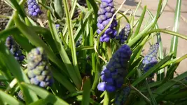 K800_Frühling 039.webp