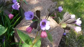 K800_Frühling 045.webp